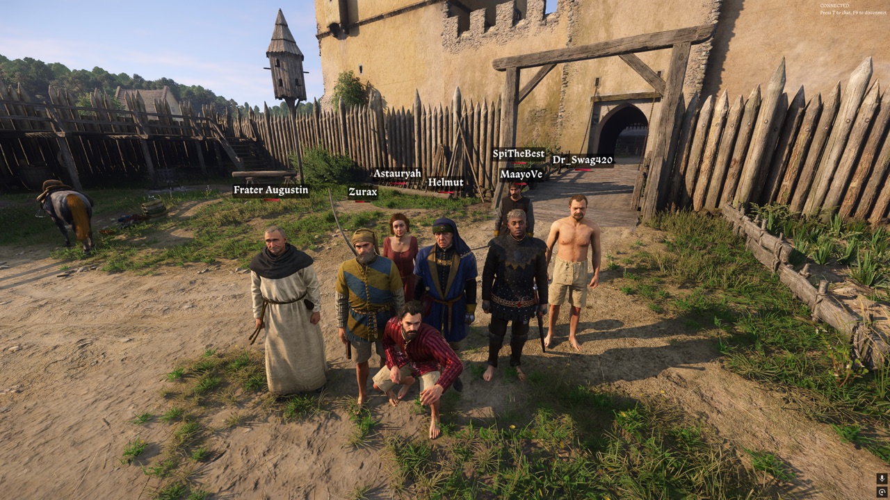 Nine players in medieval clothing posing together with name tags at a wooden palisade fort in Kingdoms Connected