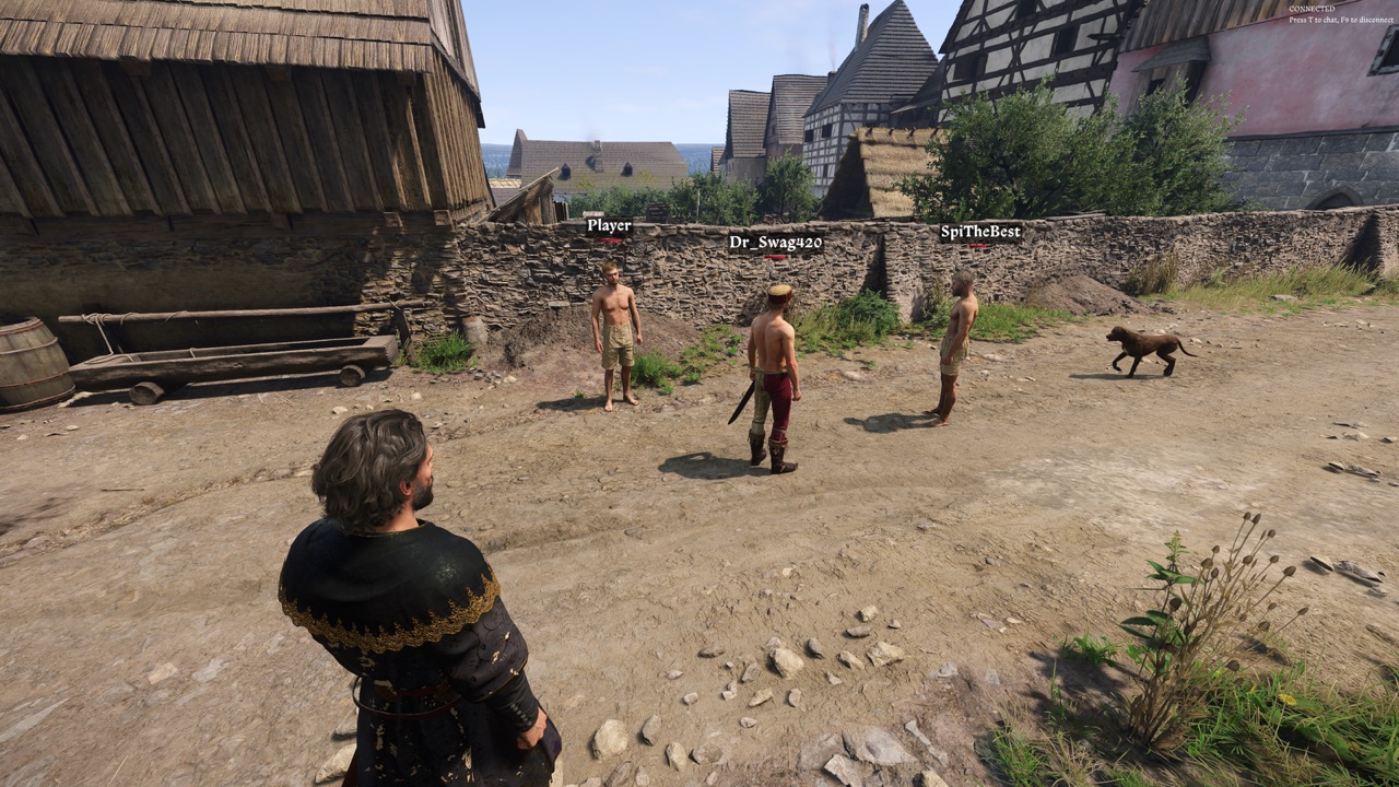 Four players and a dog meeting in a village street in Kingdoms Connected, the KCD2 multiplayer mod